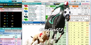 Singapore trusted betting site