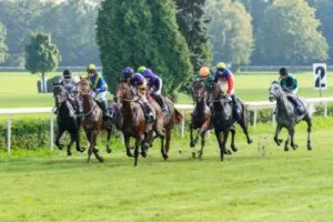 Profitable Horse Racing Betting